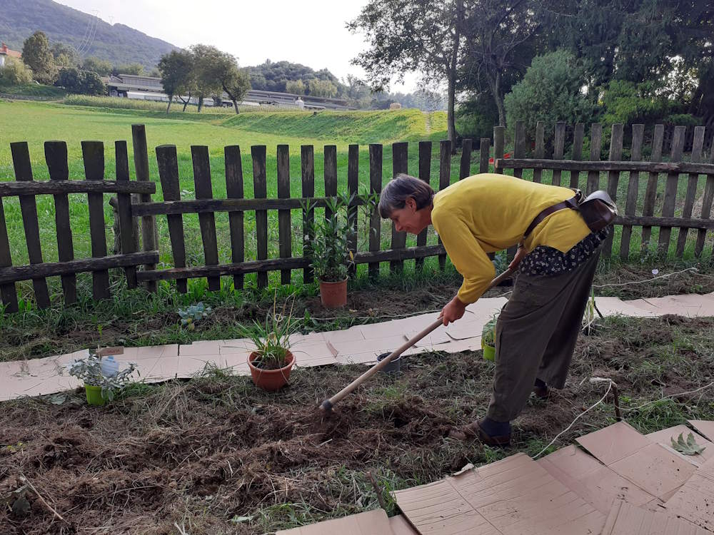 images/g-orto/Madre-Terra-Libera-orto-2.jpg#joomlaImage://local-images/g-orto/Madre-Terra-Libera-orto-2.jpg?width=1000&height=750