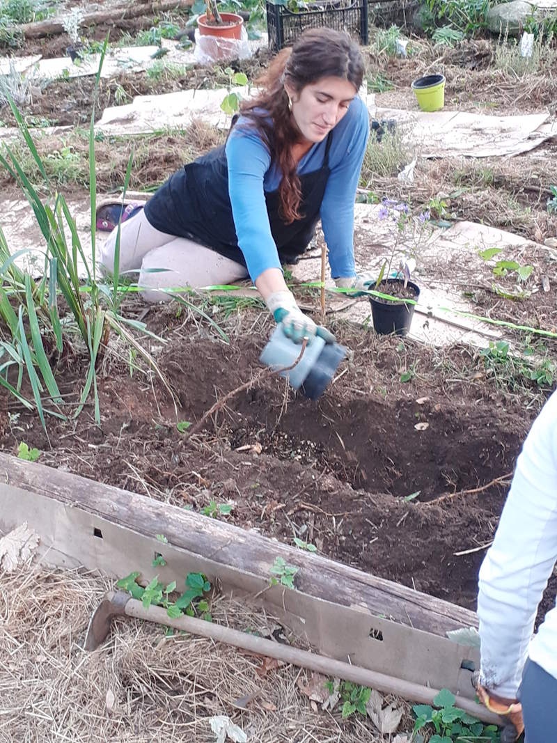 images/g-orto/Madre-Terra-Libera-orto-3.jpg#joomlaImage://local-images/g-orto/Madre-Terra-Libera-orto-3.jpg?width=800&height=1067