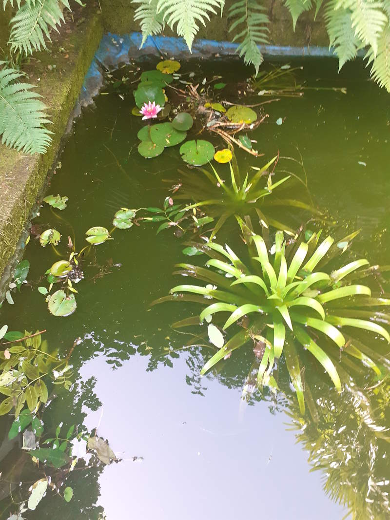 images/madreterralibera/Madre-Terra-Libera-2.jpg#joomlaImage://local-images/madreterralibera/Madre-Terra-Libera-2.jpg?width=800&height=1067