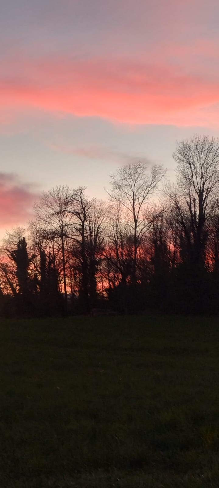 images/madreterralibera/Madre-Terra-Libera-21.jpg#joomlaImage://local-images/madreterralibera/Madre-Terra-Libera-21.jpg?width=720&height=1600