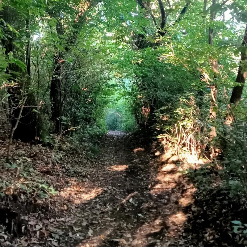 images/madreterralibera/Madre-Terra-Libera-8.jpg#joomlaImage://local-images/madreterralibera/Madre-Terra-Libera-8.jpg?width=800&height=800