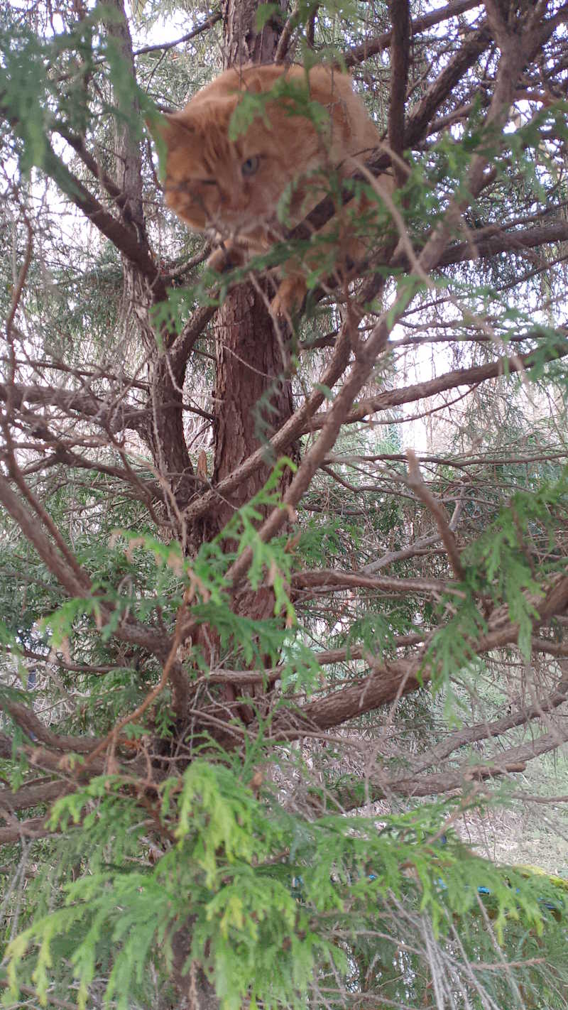 images/madreterralibera/Madre-Terra-Libera-Porpora.jpg#joomlaImage://local-images/madreterralibera/Madre-Terra-Libera-Porpora.jpg?width=800&height=1422