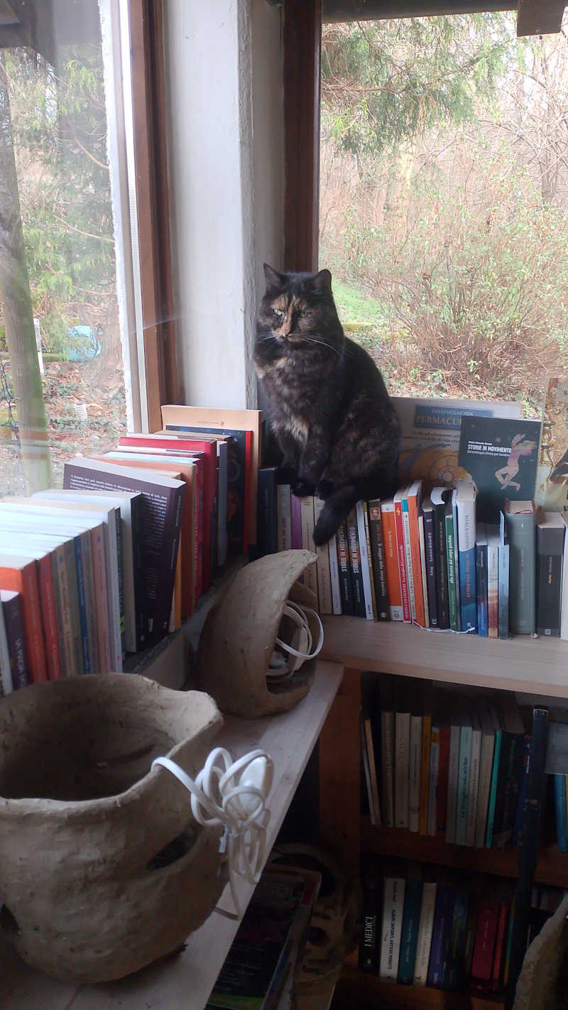 images/madreterralibera/Madre-Terra-Libera-Prugna.jpg#joomlaImage://local-images/madreterralibera/Madre-Terra-Libera-Prugna.jpg?width=800&height=1422